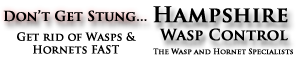 Get rid of wasp nests and hornet nests fast and safe, we treat wasp nests the same day