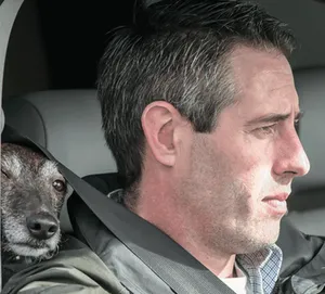 Wasp nest removal services covering, Winchester