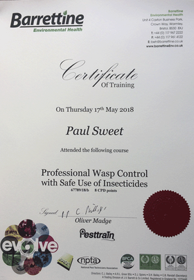 Paul is fully insured and certificated to treat wasp nests.