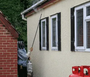 Wasp nest control