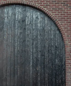 Wasps stripping wood